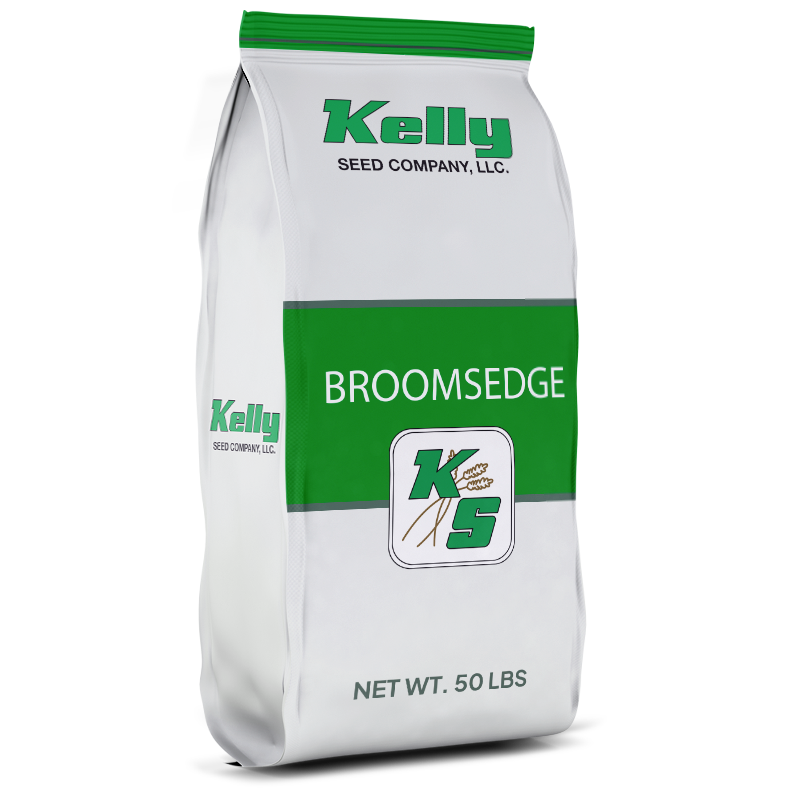 Broomsedge Native Grass Seed | Kelly Seed Company